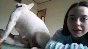 Animalandmansex - Denise Frazier porn video with the dog â¤ï¸ 2023 | PORNOHUB.XYZ